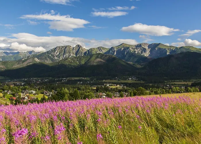 Chalet Udanypobyt Gorska Oaza *